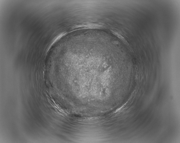 X0000058761163200510171151