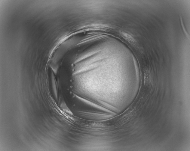 X0000058761164200510171151