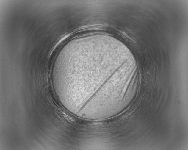 X0000058761166200510171151