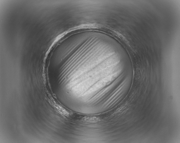 X0000058761168200510171151