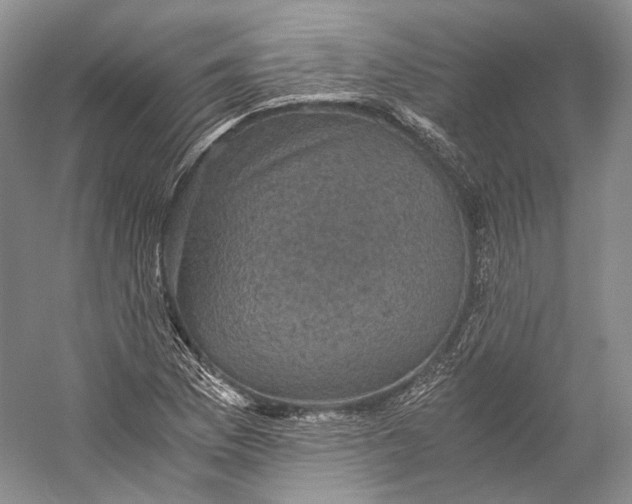 X0000058761169200510171151
