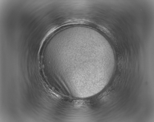 X0000058761172200510171151