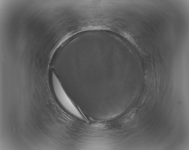 X0000058761173200510171151