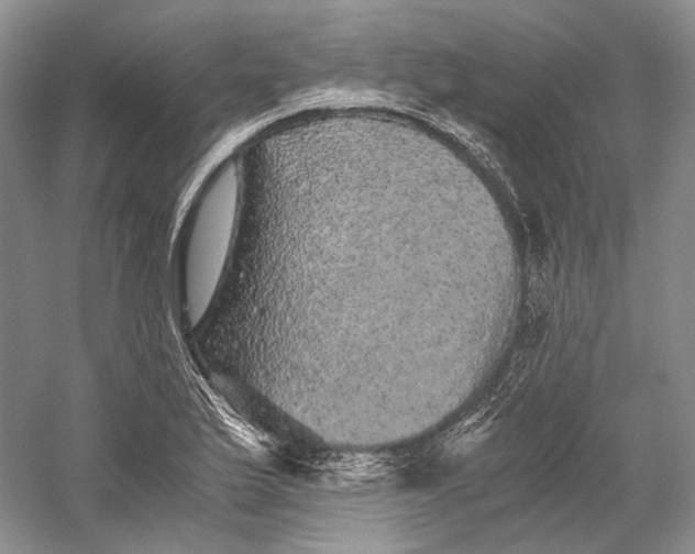 X0000058761175200510171151