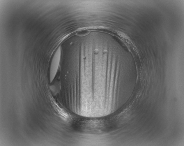 X0000058761177200510171151