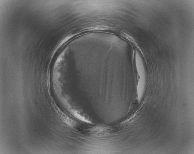 X0000058761179200510171151