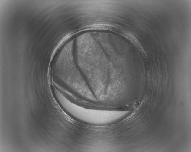 X0000058761180200510171151