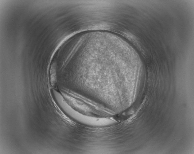 X0000058761184200510171151