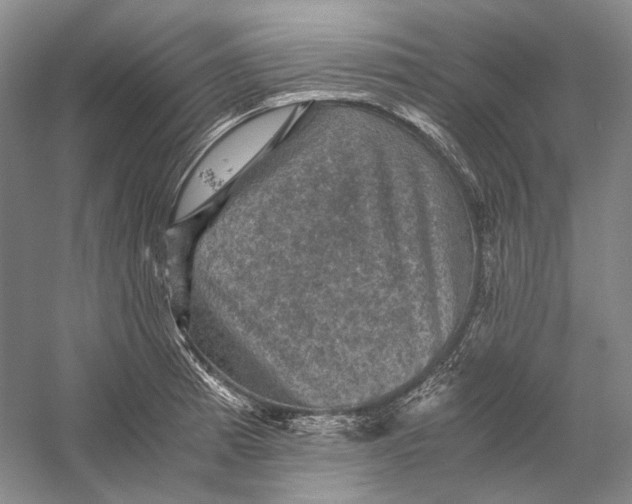 X0000058761185200510171151