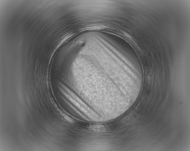 X0000058761186200510171151
