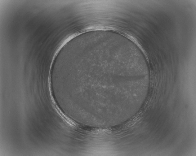 X0000058761187200510171151