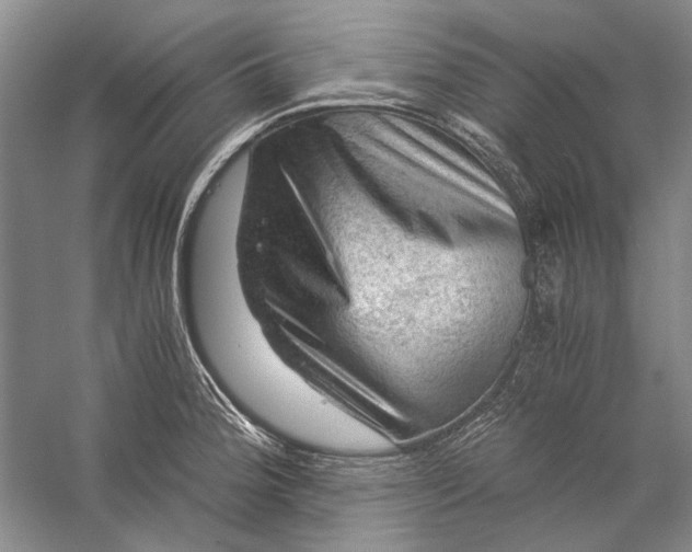 X0000058761188200510171151