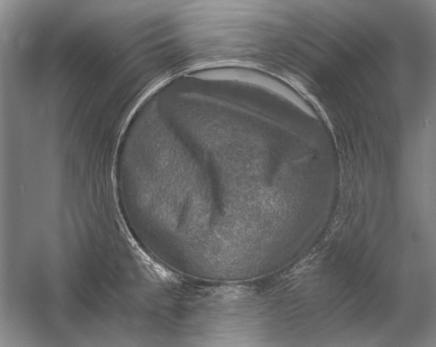 X0000058761189200510171151