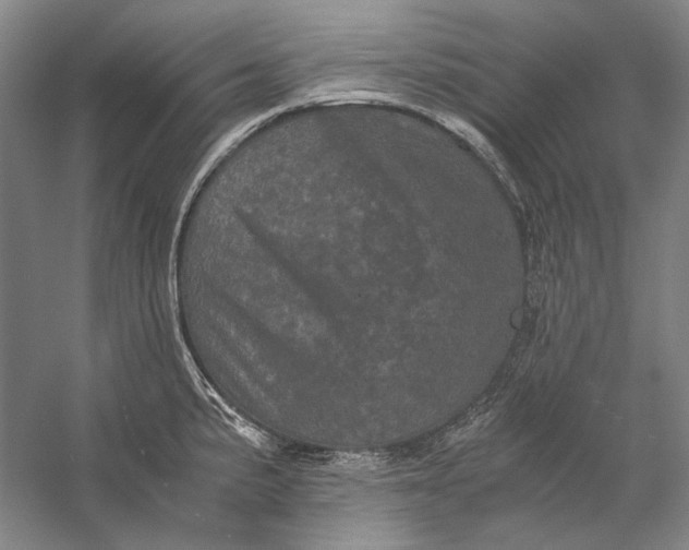 X0000058761191200510171151