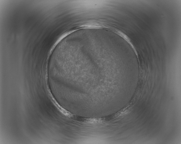 X0000058761195200510171151