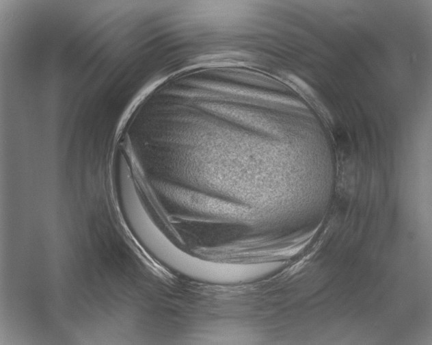 X0000058761196200510171151