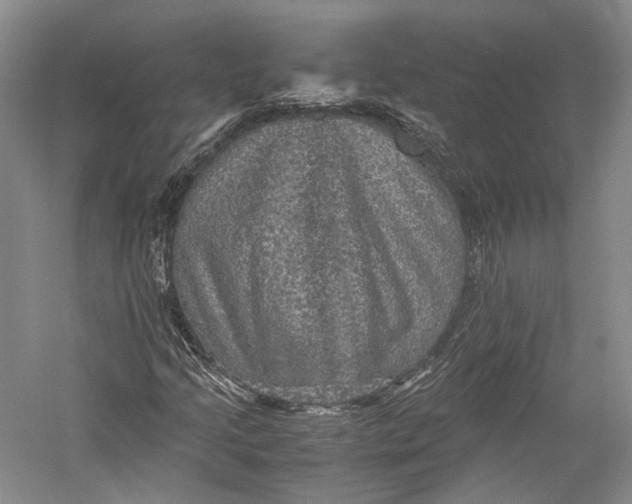 X0000058761205200510171150