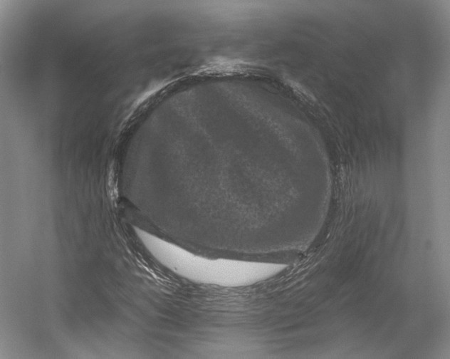 X0000058761206200510171150