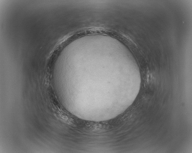 X0000058761207200510171150