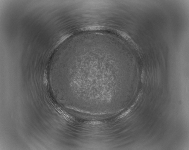 X0000058761209200510171150
