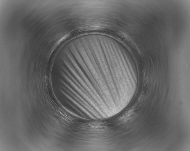 X0000058761210200510171150