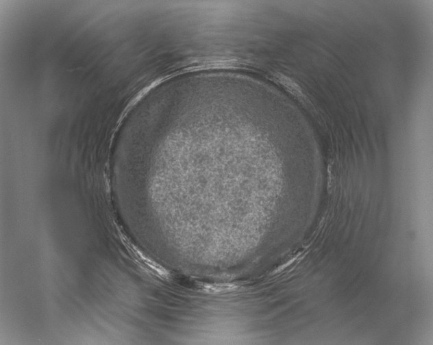 X0000058761212200510171150