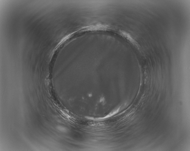 X0000058761213200510171150