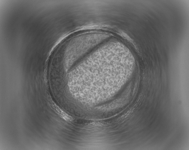 X0000058761216200510171150