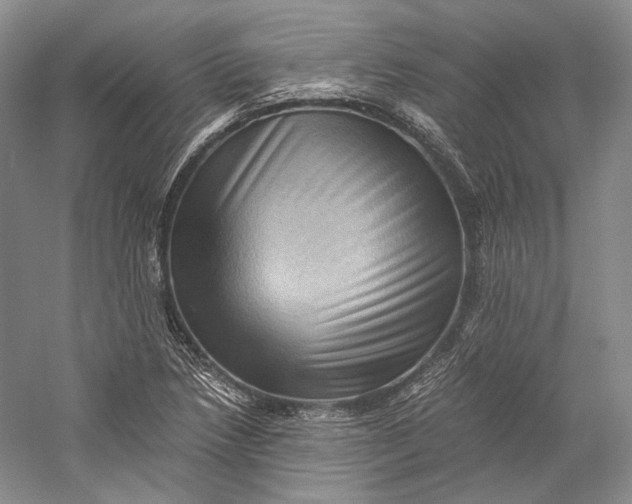 X0000058761218200510171150