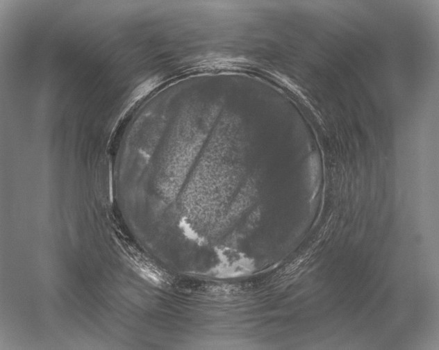 X0000058761219200510171150