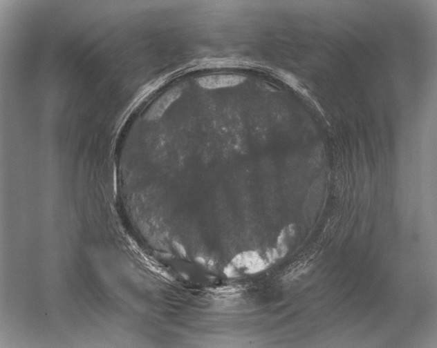 X0000058761221200510171150