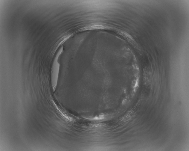 X0000058761225200510171150