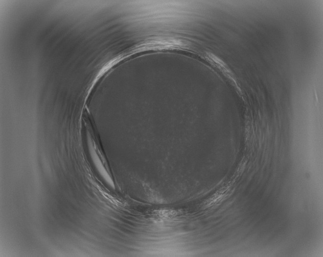 X0000058761226200510171150