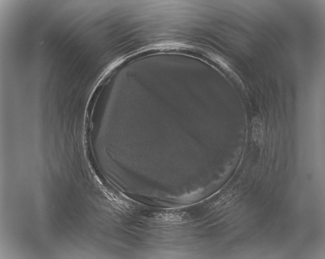 X0000058761229200510171150