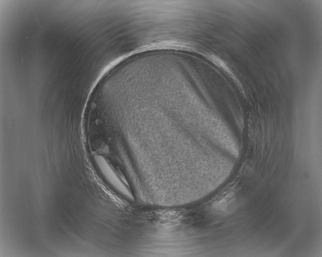 X0000058761230200510171150