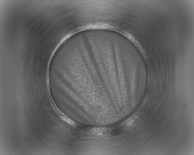 X0000058761232200510171150