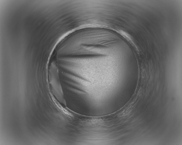 X0000058761238200510171150