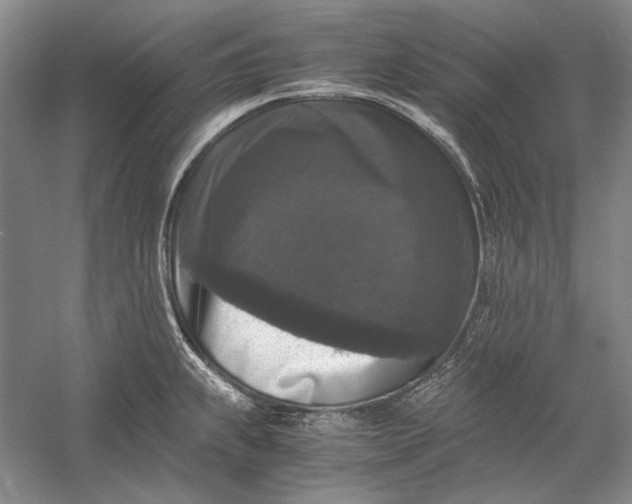 X0000058761239200510171150