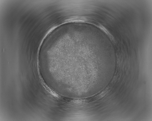 X0000058761240200510171150