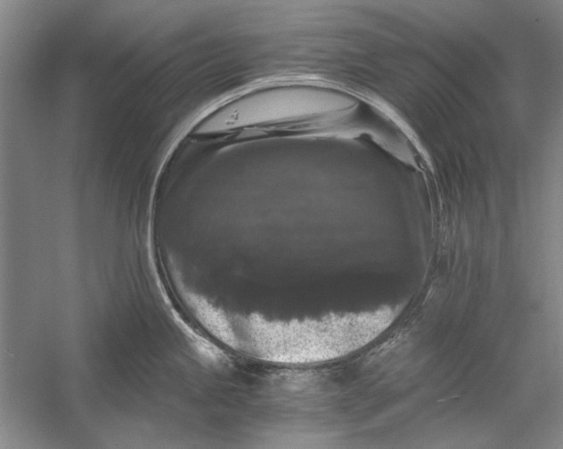 X0000058761245200510171151
