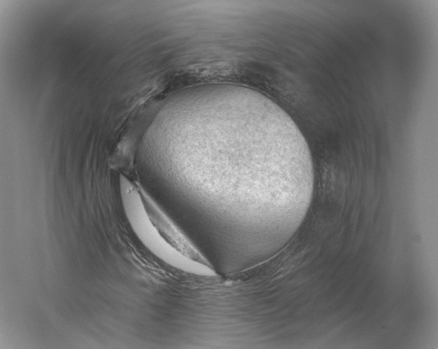 X0000058761250200510171150