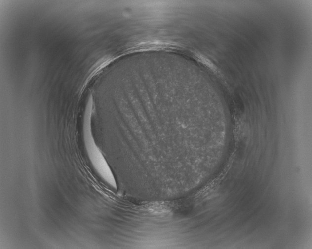 X0000058761259200510171150