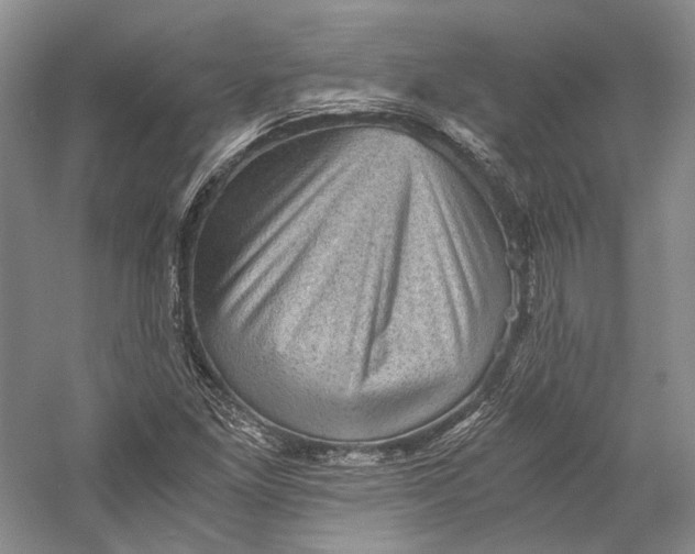 X0000058761261200510171150