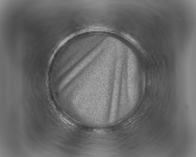 X0000058761264200510171149