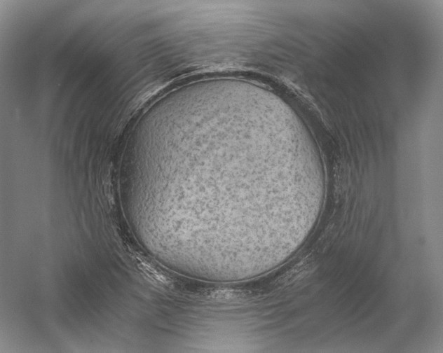 X0000058761265200510171149