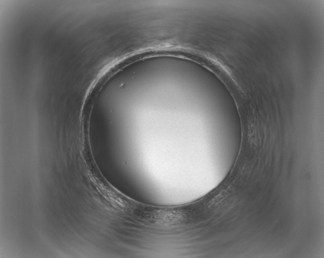 X0000058761270200510171149