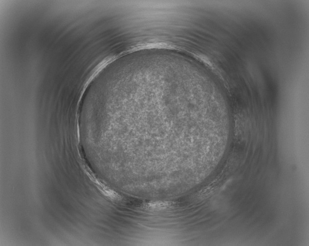 X0000058761274200510171149