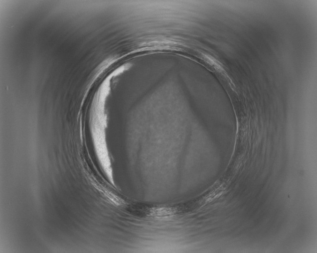 X0000058761275200510171149