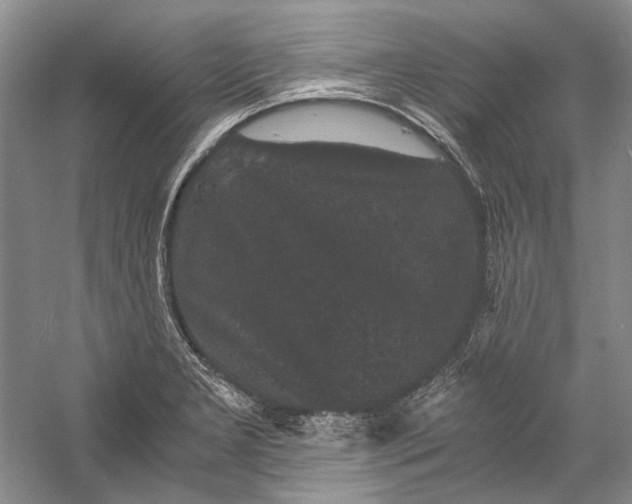 X0000058761277200510171149