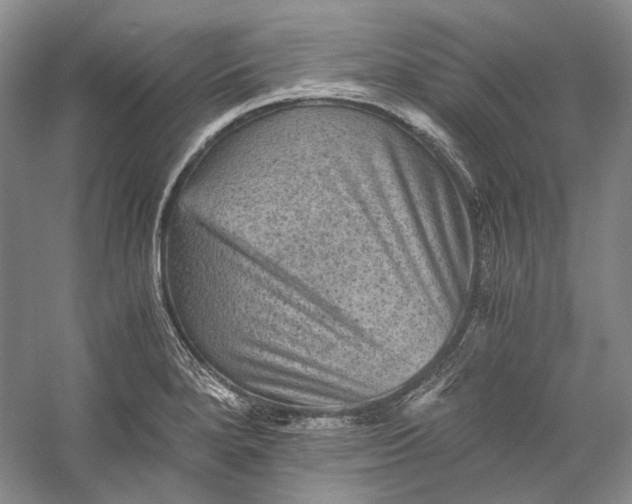 X0000058761280200510171149